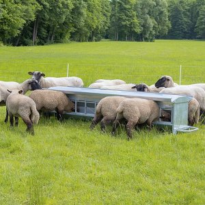PATURA Raufe, Horde und Stallbedarf für Schafe