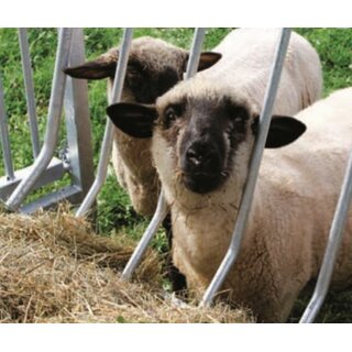 PATURA Viereckraufe für Schafe 
mit Dach